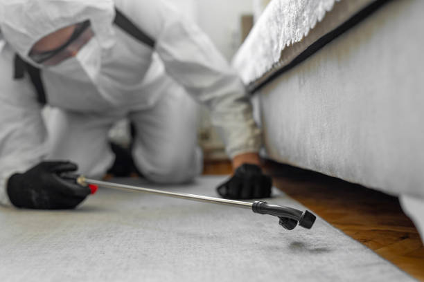 Professional Ant Control technician working in Ballville, OH
