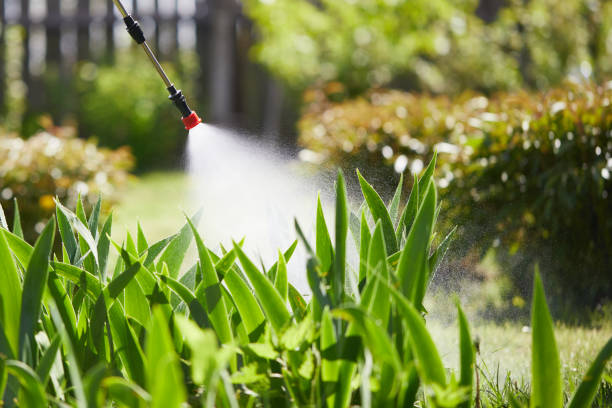 24/7 Emergency Ant Control experts in Ballville, OH
