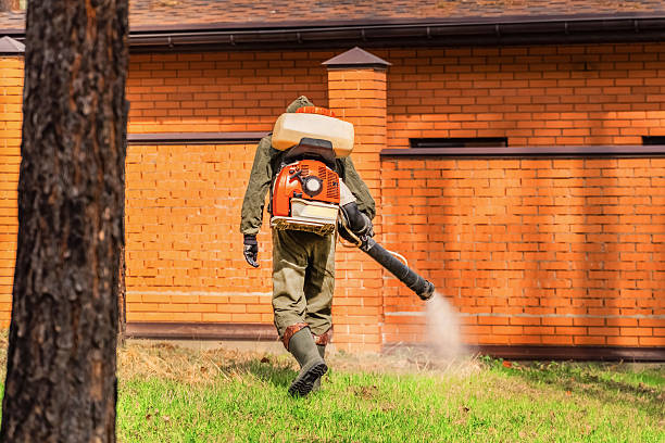 Top rated local Ant Control specialists in Ballville, OH